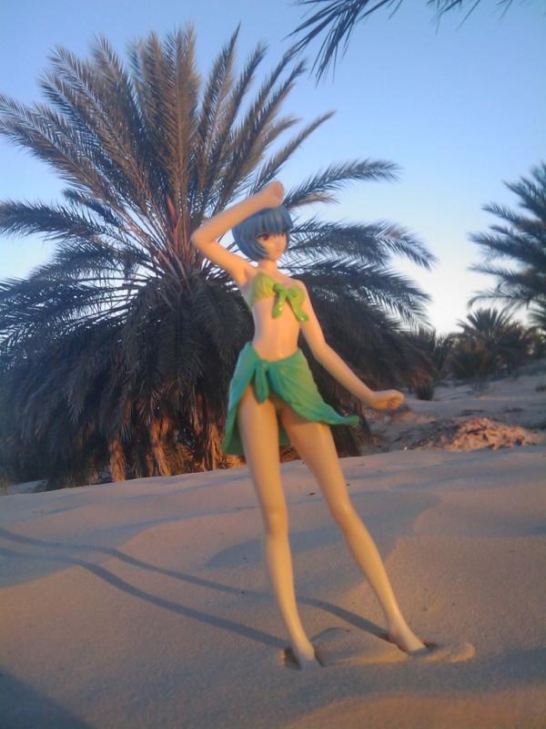 Morning in the Dessert