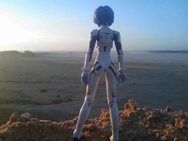 Discover New Lands