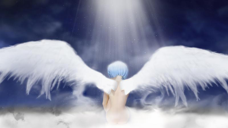 Wings