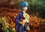 Rei im Herbst