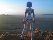 Discover New Lands