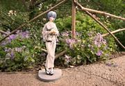 Walking in a Japanese Park